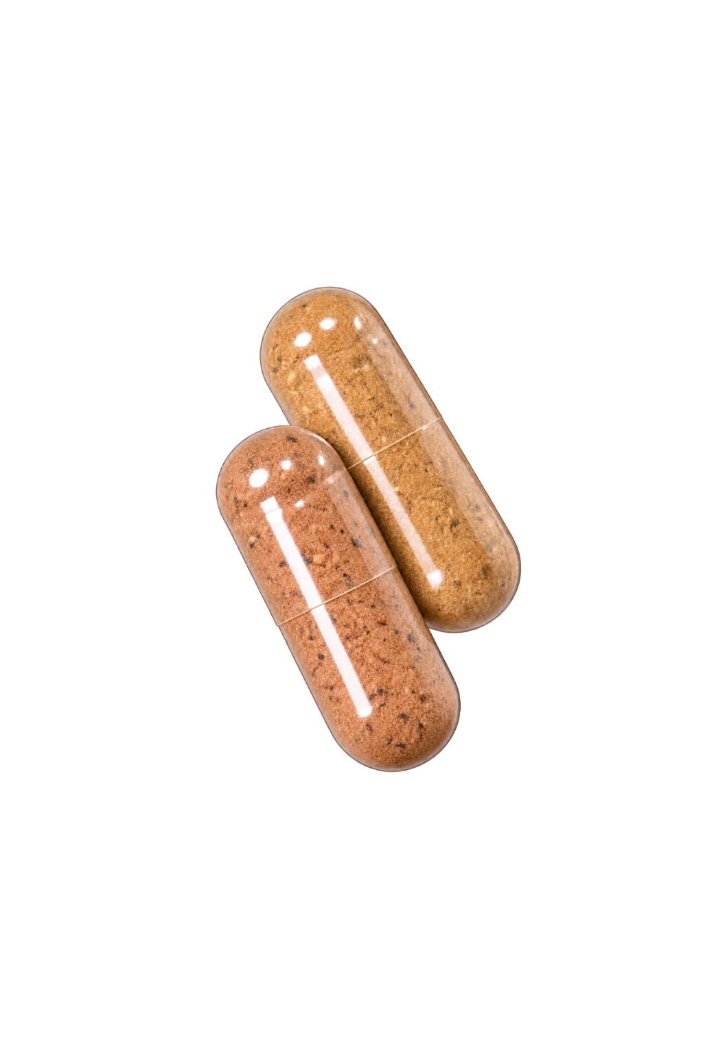 Big Beef Bundle | Beef Liver + Beef Organ Capsules