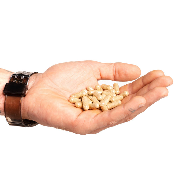 Oyster extract supplement capsules displayed in a man’s hand.