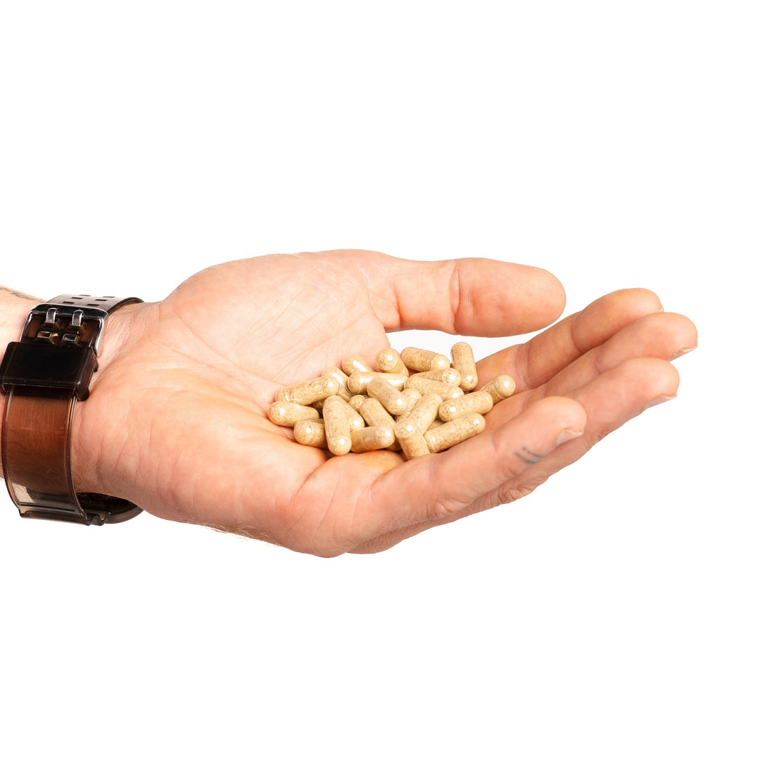 A handful of oyster capsules showing their golden powder filling.