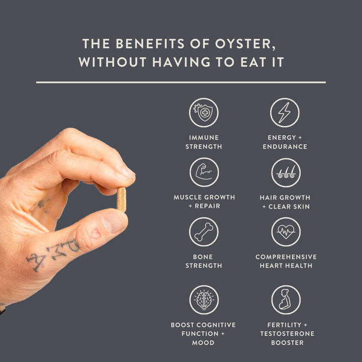 benefits of oyster: immune strength, energy and endurance, muscle growth and repair, hair growth and clear skin, bone strength, heart health, brain function and mood, fertility and testosterone booster