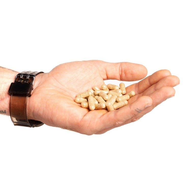 Pure oyster supplement for immune health