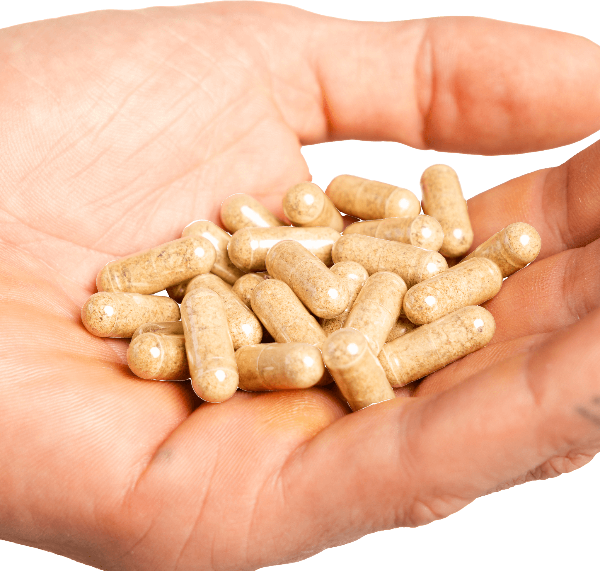 Oyster+ Capsules - Australian Organic Oyster Extract
